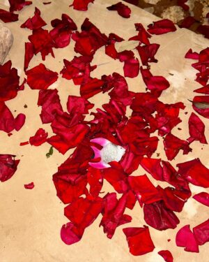 Raveena Aurora Instagram - I have been crying everyday 😍😍😻😍😍😍😍😍😍😻 and rethinking everything and trying to understand my imbalance of masculine and feminine energy . I do too much labor and take on and lead too much and it’s time for me to be baby and taken care of by the world and everybody else . 
Also the music institution has hurt me so much . I hope one day I can heal from it and have clarity on the extremely abusive nature of this system on brown and black women and I hope this star doesn’t burn out before receiving her  flowers and care necessary . But I really dk anymore maybe it’s time for an entirely new way of thinking and living