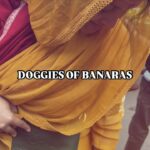 Renu Desai