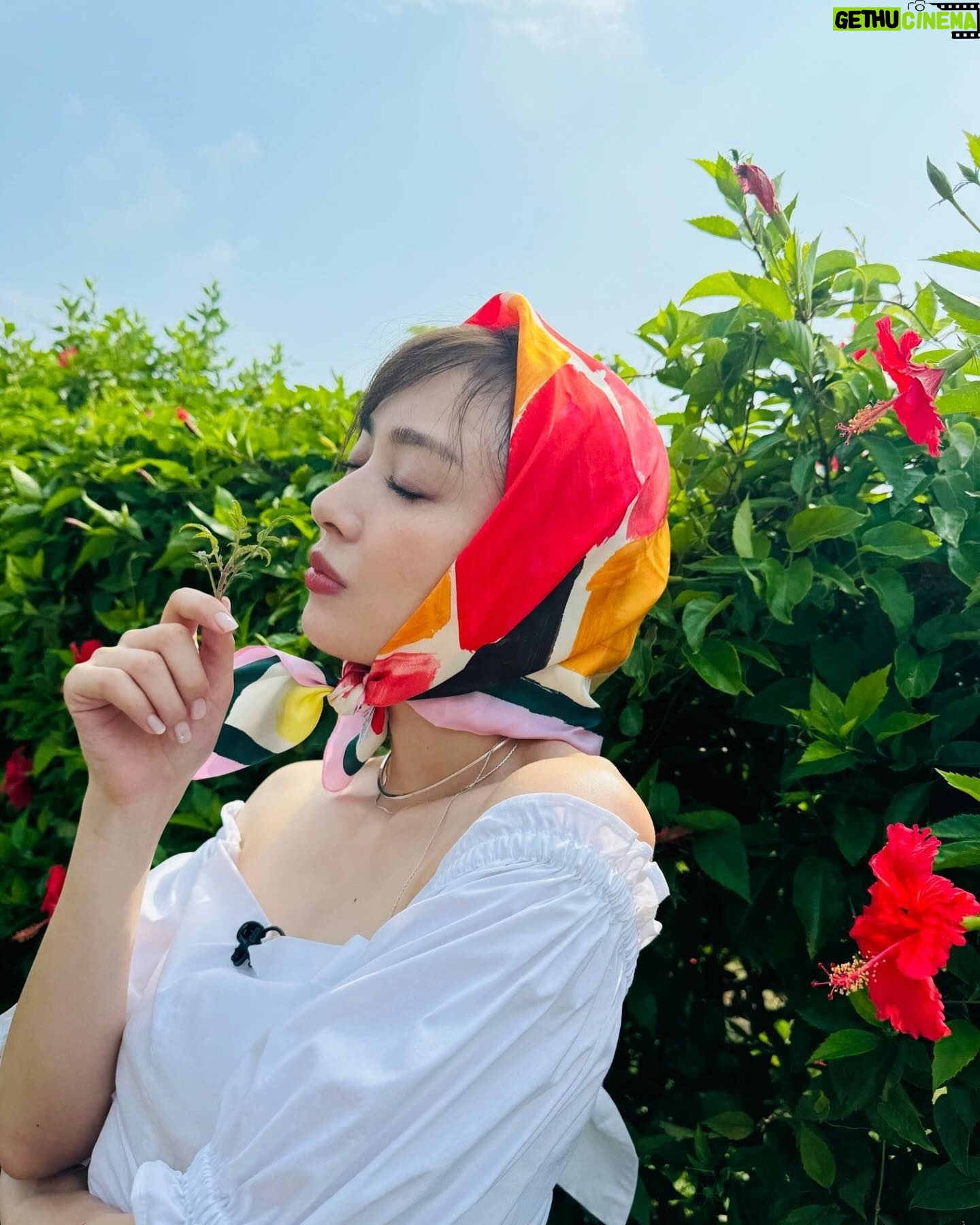 Rio Uchida - 43.5K Likes - @watabewedding
沖縄旅行&リゾートウエディングを体験した動画が
ワタベウェディングさんの公式YouTubeで公開されました🤍
美味しいご飯を食べたり
素敵なホテルに泊まったり
プールで泳いだり
ハーブ畑を見学したり
乗馬体験で馬さんと砂浜をお散歩したり
最高に楽しかったーーーー🏝️
とにかくとにかく今回食べたご飯たちが美味しすぎて…大満足の旅でした。興味がある方はぜひこのプランを参考にしてみて欲しいです🩷動画チェックしてねー!