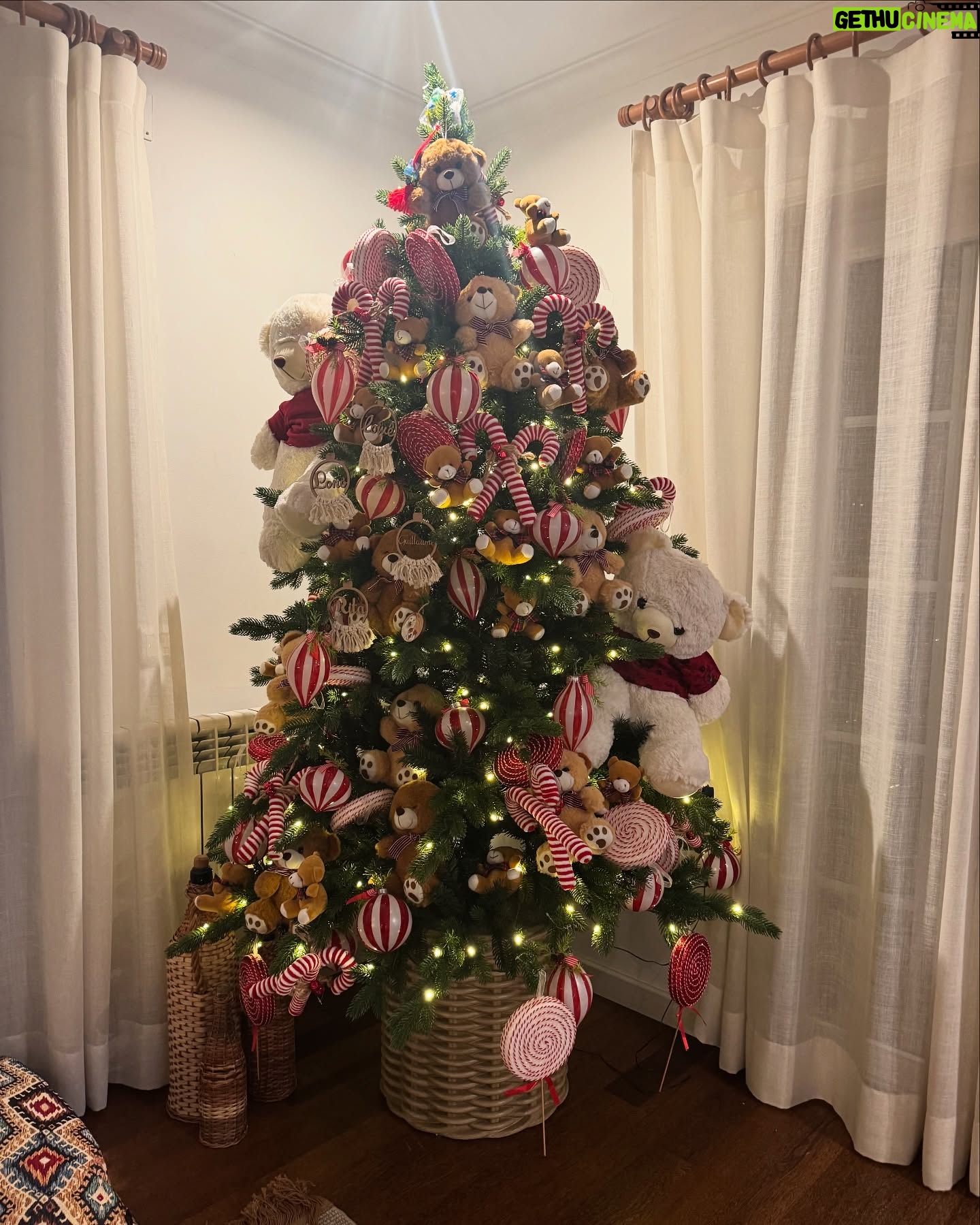 Rita Pereira - 78.5K Likes - É para postar foto pirosa de Natal 2024 em família ao lado da árvore?! Entregue! 😂🎄
#natal2024 #family #christmas #love #present