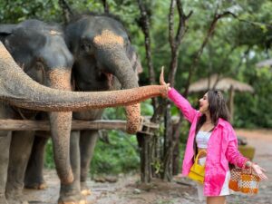 Riya Sharma Instagram - Find me someone who’ll love me as much as I love 🐘!!! 😭🤍🤍🤍

Best trip with my beautiful girls 🤍

#bestday #elephant #phuket #thailand #wanderlust