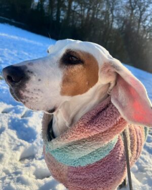 Ruby Barker Instagram - ❄️