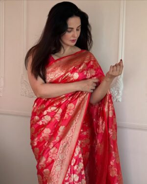 Rukhsar Instagram - 💫💫✨✨.
.
.#sabrshukr 
.
.
.
#sareelover #saree #banarasisaree #nfak
