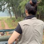 Sadha