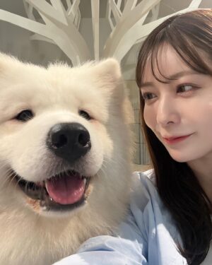Saito Yuri Instagram - おやすみの期間にずっと気になっていた
サモエドカフェに行ってきましたｧ〜
⁡
思ってた100倍くらい人懐っこくて
沢山なでなでさせくれました🤍❕
⁡
行ったタイミングでもあるんだけど
私の時はご挨拶してくれた後みんな
お昼寝し始めてゆっくりな時間を過ごせました♡
⁡
おすすめはおやつをあげると1発で人気者になれる🙂‍↕️
なんなら、囲んでくれました あぁ幸せ
初めましての私にもお手したくれたり
お座りしてくれたりお行儀いい子達ばかり♡
⁡
@samoyedcafe_kitahorie 
⁡
⁡
⁡
#サモエド #サモエドカフェ #わんわん
#自撮り出来たの歓喜（ぴーす）