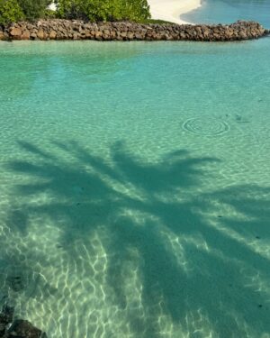 Salma Abu Deif Instagram - 🪺💕🏝️🫶🏻
@ooreethirah