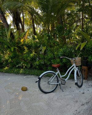 Salma Abu Deif Instagram - 🪺💕🏝️🫶🏻
@ooreethirah