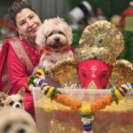 Sambhavna Seth