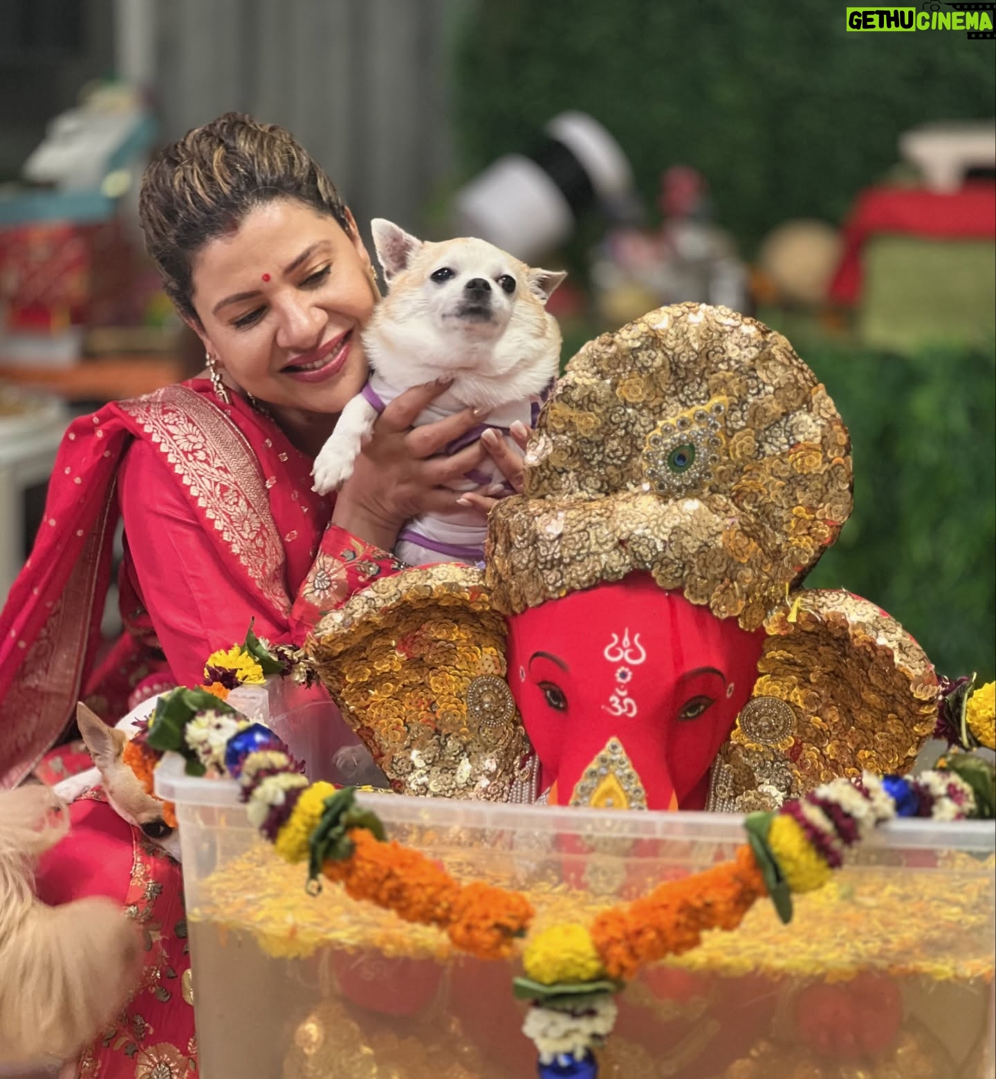 Sambhavna Seth - 108.3K Likes - Ganpati Bappa Morya
Agle Baras tu Jaldi Aa❤️
