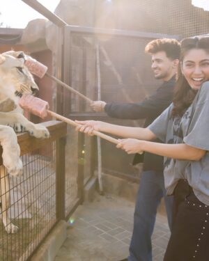 Sana Makbul Instagram - What a fab place created @sb_belhasa . 
I felt like I was on a date with the wild life @fame.park 
Thank you @vishalpandey_21 ❤️🤗