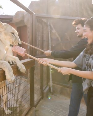 Sana Makbul Instagram - What a fab place created @sb_belhasa . 
I felt like I was on a date with the wild life @fame.park 
Thank you @vishalpandey_21 ❤️🤗