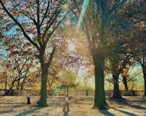 Sara Bareilles Instagram - Today is 49 days since he transitioned. My teacher reminded me that Tibetans believe this is the time a person’s consciousness or spirit takes birth in another form…before then it is journeying. Gavin loved an adventure. My grief is relentlessly noisy today but so is the light in the trees and I swear he is dancing on the leaves on days like this. The ache is impossible sometimes but yet here we are - doing impossible things. Please join us to celebrate the life of this supernova heart-shaped soul. 
May his journey be easier than the wish paper fiasco on slide #5

Here are the details- 

St James Theater 
December 2nd 
4pm
All are welcome until we fill the theater. ❤️

RSVP TO:
GAVINCELEBRATION@BESPOKETHEATRICALS.COM

Thankfully there will be a live stream for those who can’t attend in person. Details to follow. 

Sending the brightest, shiniest love in his honor. 
✨❤️

Special thanks to @kaylakuzbel for the beautiful invitation. 💕