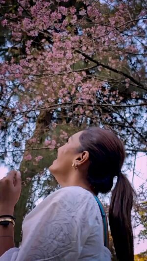Sarah Sarosh Instagram - You don’t need to visit Japan for Cherry blossoms as they are right here in our homeland🌸
November & December are the best time to spot Cherry Blossoms in Meghalaya & throughout North East India😍
Tag someone you would take on this journey! 🫶🏽
•
•
•
•
#RoamingwithReeSar #assamtourism #meghalaya #travel #travelreels #hiddengems #cherryblossom #blossom #japan #dupeforjapan