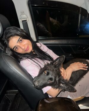 Sehar Khan Instagram - Random photo dump from my phone because Jackie and Carlo are too cute to stay hidden 🐾❤️

And yes i’m up early🙃blame the early call time🤷🏻‍♀️
GOOD MORNING