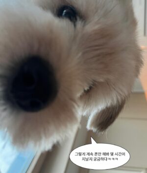 Seola Instagram - 