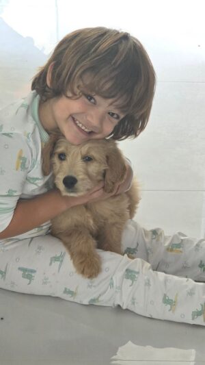 Sherlyn Instagram - Una nueva página en nuestro libro, llego un nuevo habitante a nuestra familia, una persona muy importante para nosotros se lo regalo a @andrenuestrobebe , y yo estoy enamorada de verlos crecer juntos,  nombre es "Joy" que les parece?