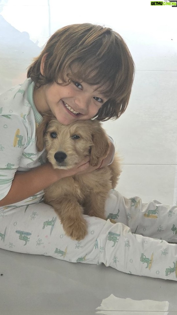 Sherlyn - 55.7K Likes - Una nueva página en nuestro libro, llego un nuevo habitante a nuestra familia, una persona muy importante para nosotros se lo regalo a @andrenuestrobebe , y yo estoy enamorada de verlos crecer juntos, nombre es "Joy" que les parece?