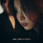 Shin Se-kyung