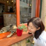 Shin Seul-ki
