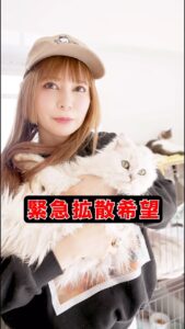 Actress Shoko Nakagawa HD Photos and Wallpapers December 2024