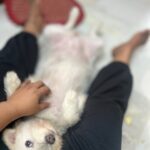 Shruthi Selvam