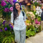 Shweta Tiwari