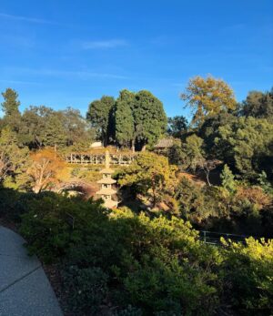 Skai Jackson Instagram - Nature’s garden 🪷🌿