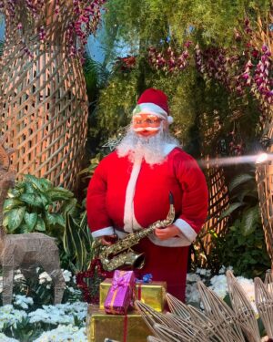 Sneha Paul Instagram - Merry Christmas with Happiness,good Health & wellness.
Have a Happy Christmas*🎄🎁 🥳