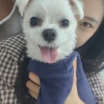 Son Ji-hyun