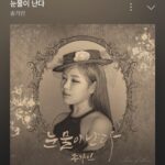 Song Ga-in
