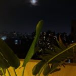Sonyaa Ayodhya