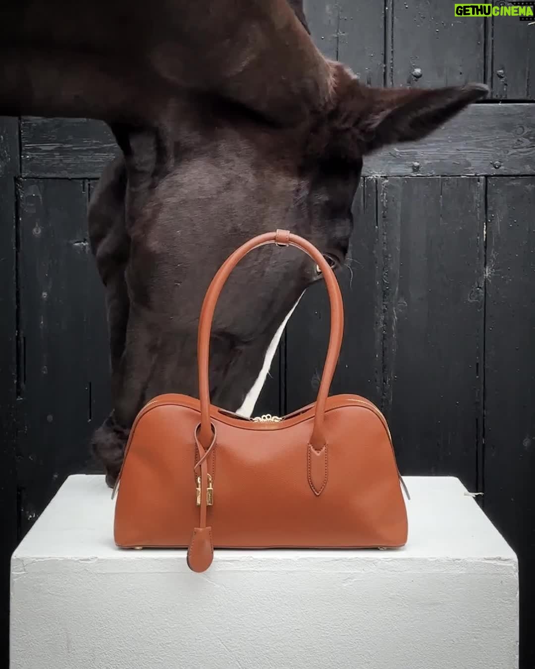Stella McCartney - 11.3K Likes - HEALING POWER OF HORSES: The new Ryder bag captured alongside Toto, an equine therapy horse at @OperationCentaur.
In #equinetherapy, horses are centred as therapists – responding to their human patients with instincts instead of judgments, creating a safe space to uncover feelings.
Shop the #StellaRyder bag in-store and at stellamccartney.com
#StellaMcCartney #crueltyfree #vegan #HealingPowerofHorses