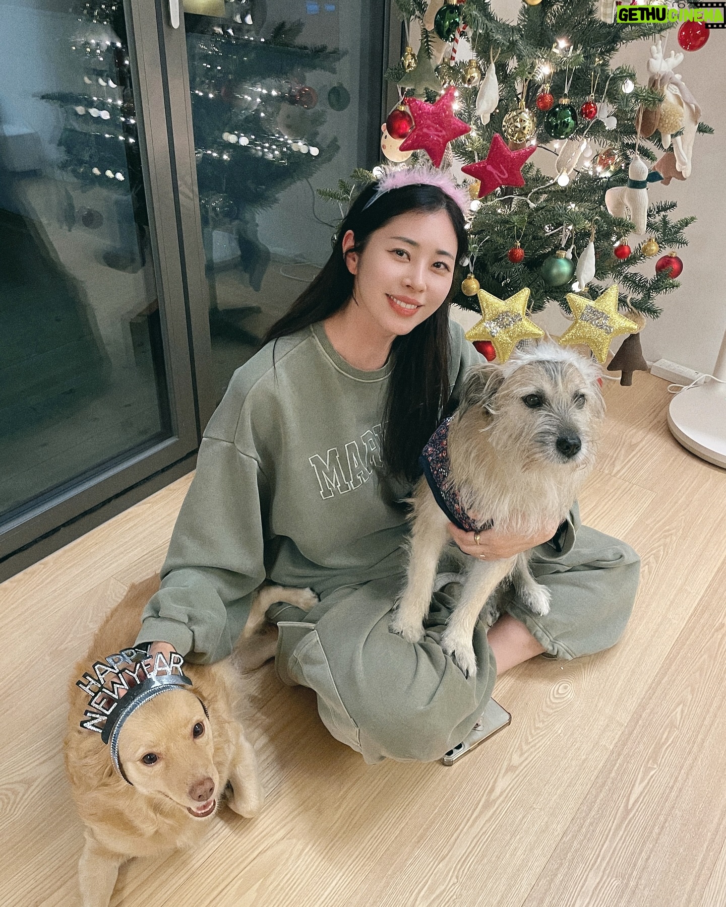 Suh Dong-joo - 6.2K Likes - 어지러운 시기지만 이럴 때일수록 모두 따뜻한 연말 보내고 계시길 바래봅니다🙏🏻 저는 며칠 전에 공사하던 집으로 이사를 했어요! 사실은 아직도 공사 중이랍니다🫣 팜팜이는 이사온 후 아직 적응 중이라 사진이 없네요 ㅎㅎㅎ 그래도 어제부터는 새집 탐험을 살짝 시작했어요🤗 추운 날씨가 이어지는데 다들 감기 조심하시구요, 사랑하는 이들과 함께하는 연말 되세요🩵