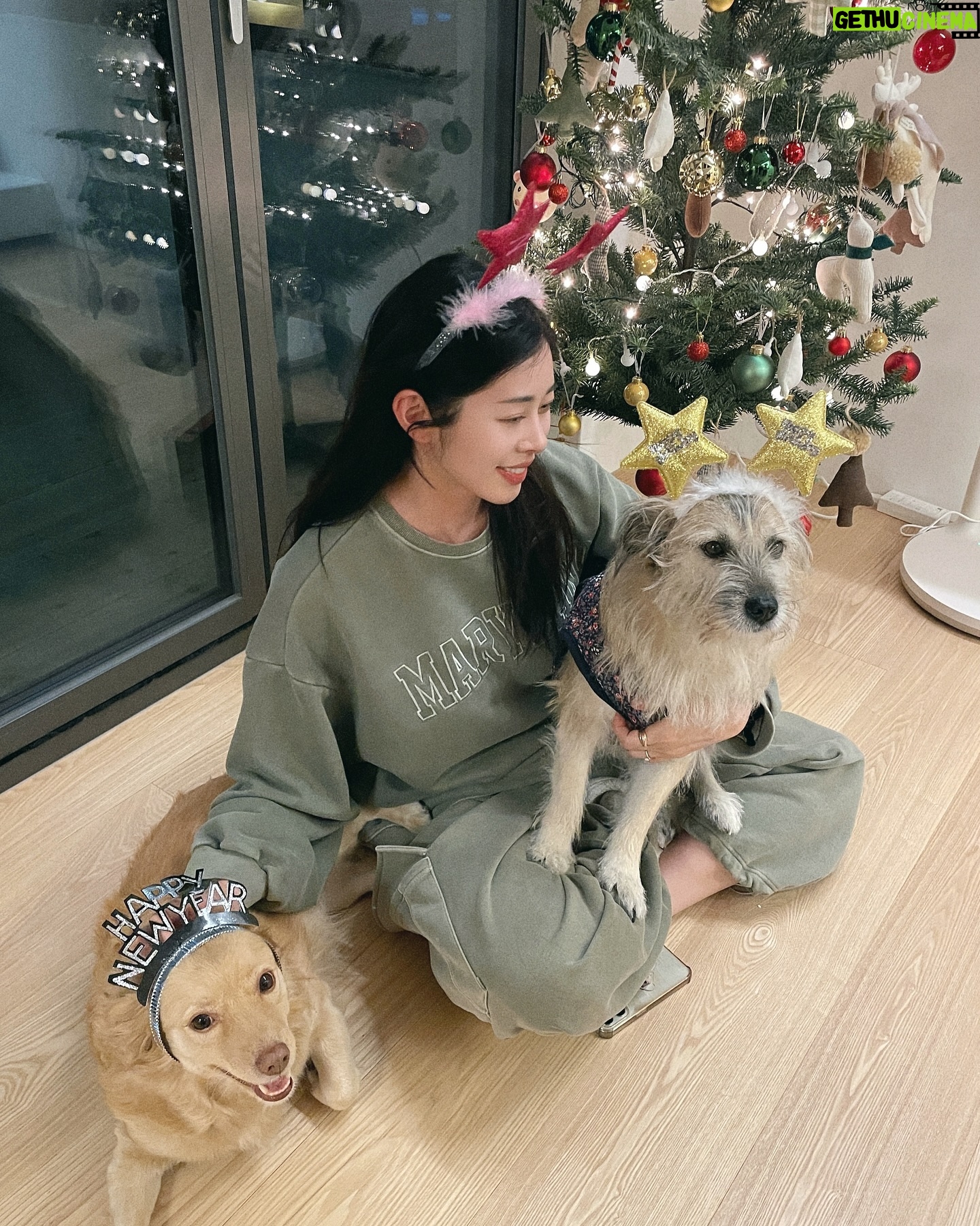 Suh Dong-joo - 6.2K Likes - 어지러운 시기지만 이럴 때일수록 모두 따뜻한 연말 보내고 계시길 바래봅니다🙏🏻 저는 며칠 전에 공사하던 집으로 이사를 했어요! 사실은 아직도 공사 중이랍니다🫣 팜팜이는 이사온 후 아직 적응 중이라 사진이 없네요 ㅎㅎㅎ 그래도 어제부터는 새집 탐험을 살짝 시작했어요🤗 추운 날씨가 이어지는데 다들 감기 조심하시구요, 사랑하는 이들과 함께하는 연말 되세요🩵