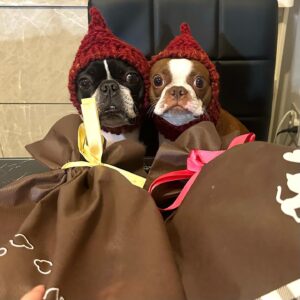 Tanakaga Instagram - 我が家のクリスマス🎅🏻🎀🎄
こっちゃんにとっては初めてのクリスマス🫶🏻
ブブビビもこっちゃんもそれぞれ気に入りそうな物貰って嬉しそうでした🐶👶🏻