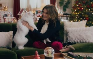 Actress Teri Hatcher HD Photos and Wallpapers December 2024