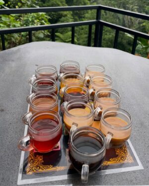Tiffany Alvord Instagram - 🙈 To a coffee I’ll never forget - the bali catpoochino… 
💩 This was from the Bali-cat-poo-chino farm where they make some the purest freshest coffee.. from cat poo.. yup you read that right. 😅 Granted they wash, roast, and grind it so all you get is fresh fresh coffee. But these views were to die for and it was one of the best coffee views of the year.