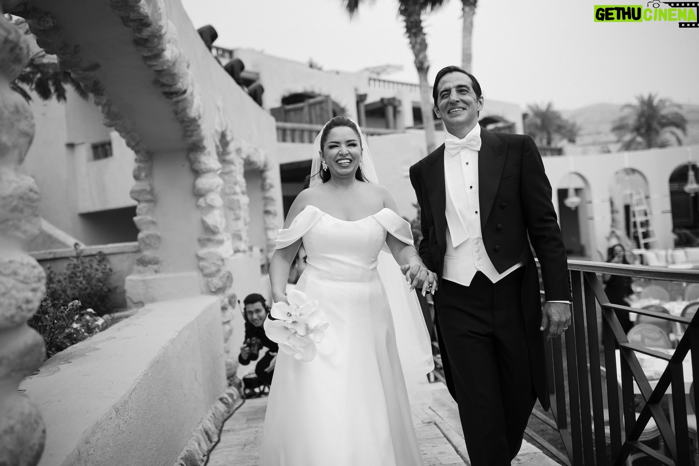 Tima Shomali - 20K Likes - So this happened earlier this year. Grateful 🤍
Photography by @aspire_photo
Wedding planners @ejproductionsjo
Wedding dress @nafsikaskourti
Makeup and hair @lauramadarr
Venue @movenpickdeadsea
