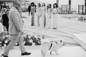 Tima Shomali Instagram - So this happened earlier this year. Grateful 🤍

Photography by @aspire_photo 
Wedding planners @ejproductionsjo 
Wedding dress @nafsikaskourti 
Makeup and hair @lauramadarr 
Venue @movenpickdeadsea