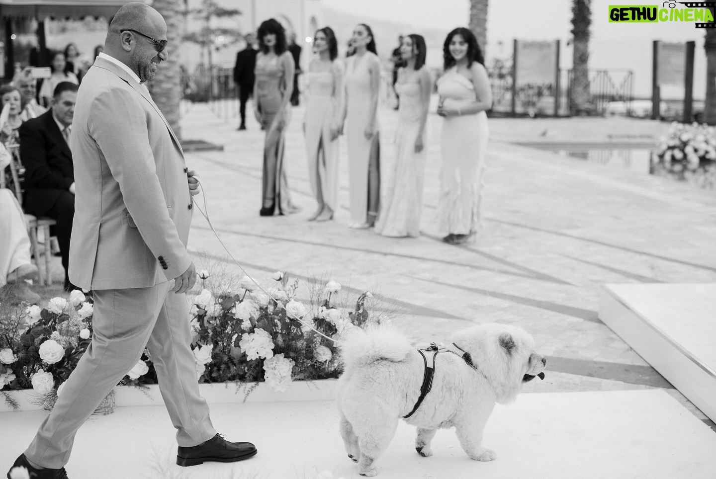 Tima Shomali - 20K Likes - So this happened earlier this year. Grateful 🤍
Photography by @aspire_photo
Wedding planners @ejproductionsjo
Wedding dress @nafsikaskourti
Makeup and hair @lauramadarr
Venue @movenpickdeadsea