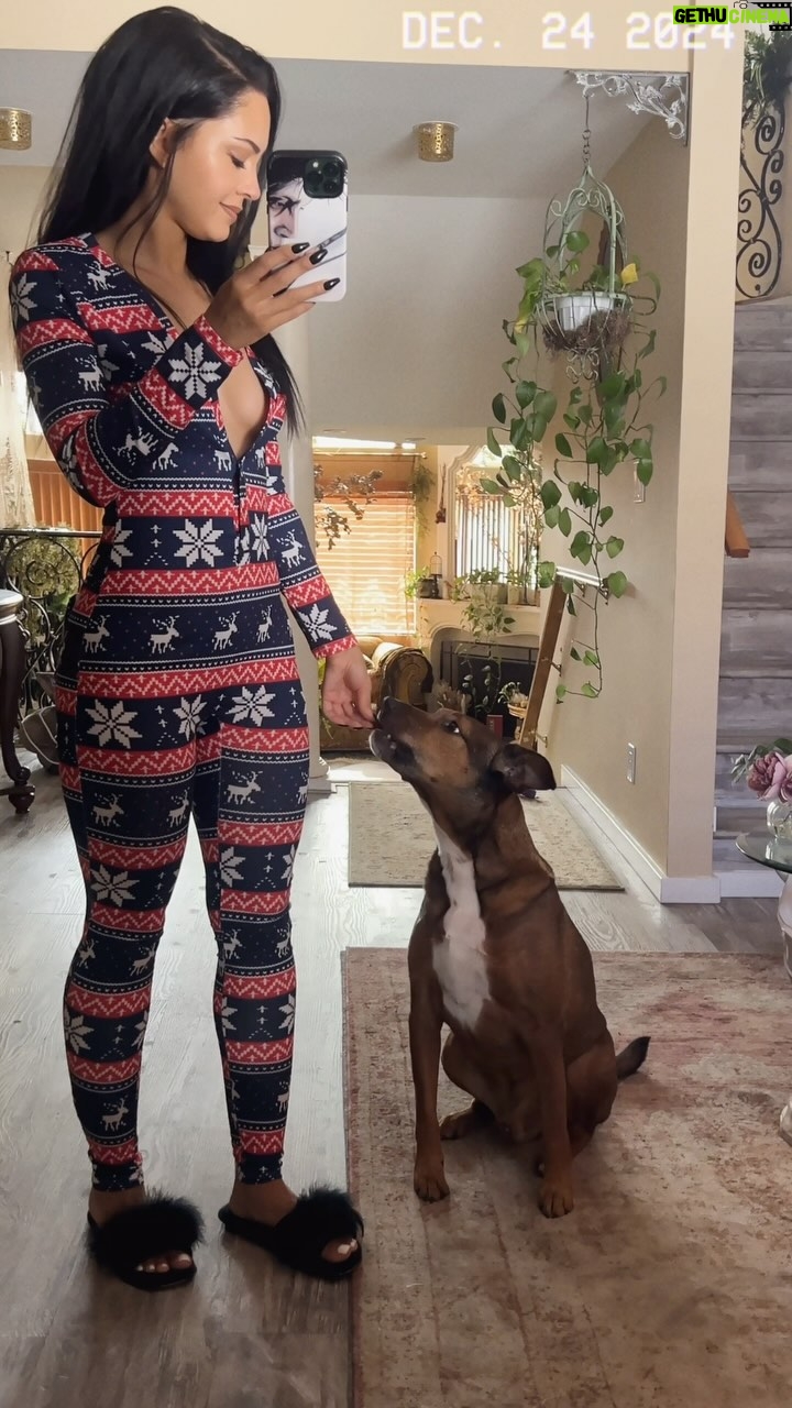 Tristin Mays - 69.7K Likes - Christmas Eve morning with Sergeant. 🐾
Comment “ SHOP “below to receive a DM with the link to shop this post on my LTK ⬇ https://liketk.it/5138k
