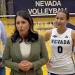 Tulsi Gabbard
