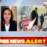 Tulsi Gabbard