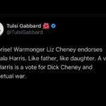 Tulsi Gabbard