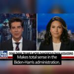 Tulsi Gabbard