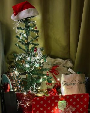 Unnati Malharkar Instagram - It’s the most wonderful time of the year!🥰♥️