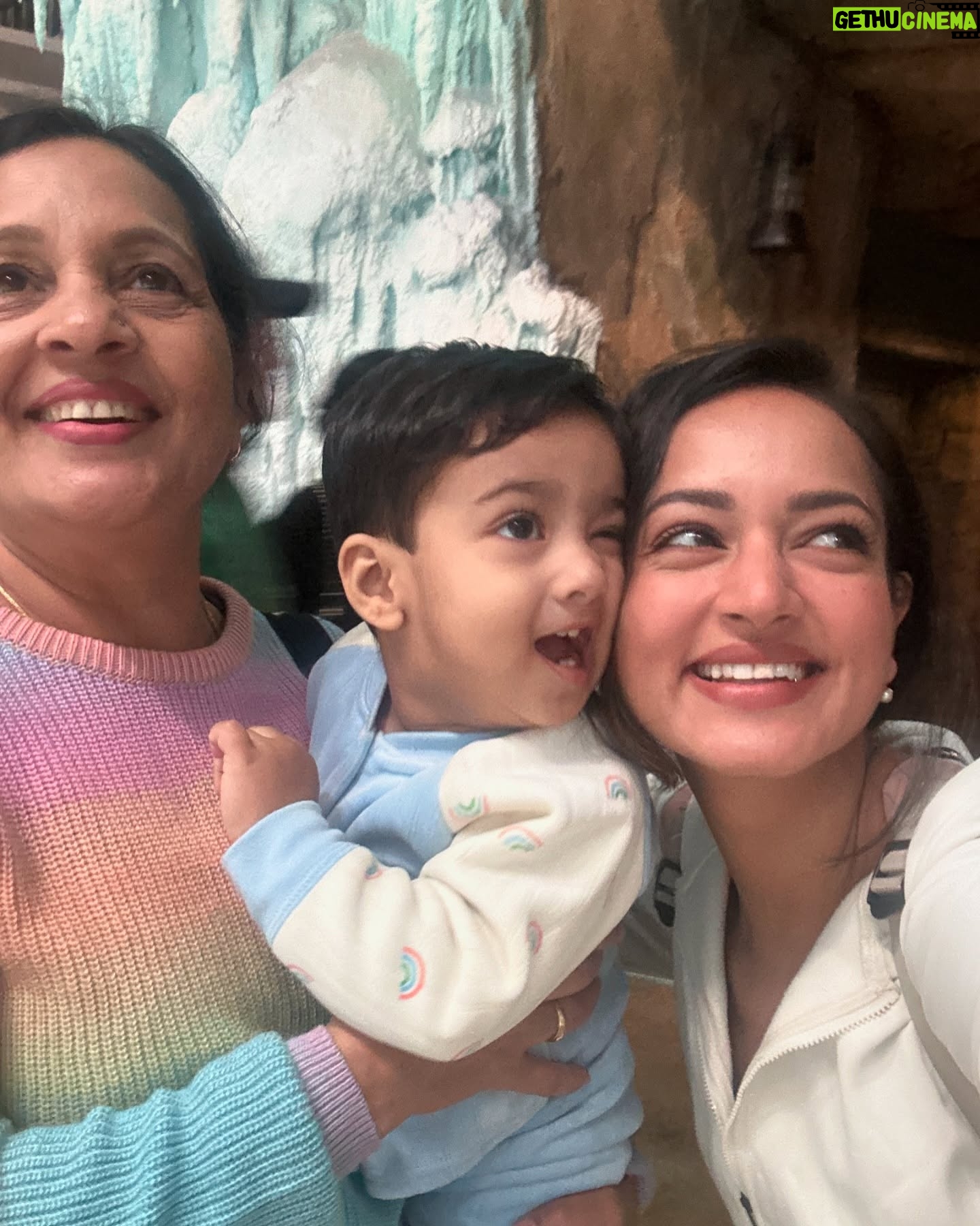 Vidisha - 107.5K Likes - The best ones !!! Keep swiping left!! Which one is your favourite?💕💕💕🐣
.
.
.
@visitabudhabi @qasralwatantour @ymcofficial #sheikhzayedmosque @snowauh #shanvisri #shanvisrivastava #travel #family #vacation #throwback