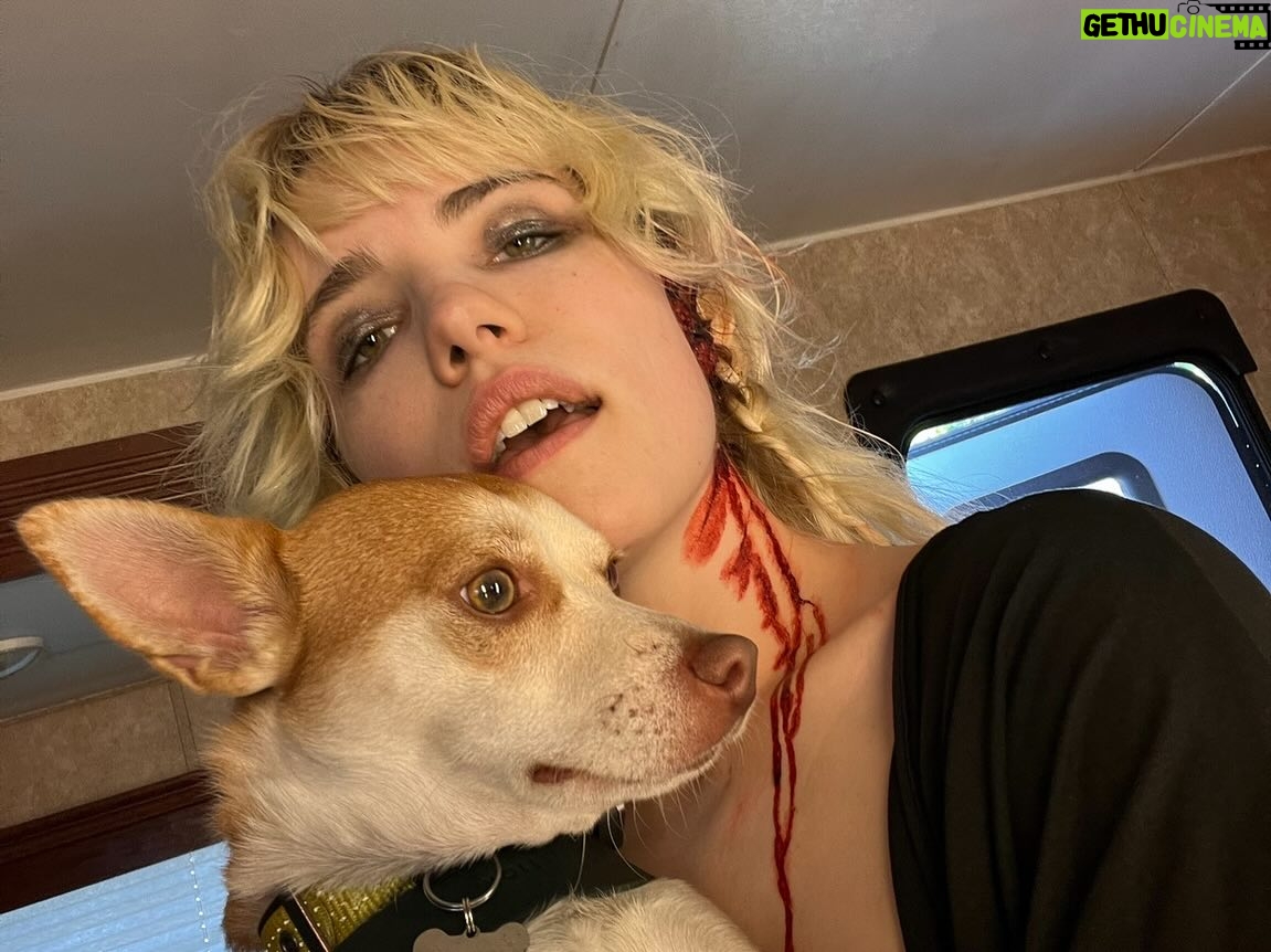 Willa Fitzgerald - 17K Likes - Some assorted and never before seen #bts to belatedly celebrate @strangedarlingfilm!! Itās now available to buy and watch thru the streaming service of your choice. If you didnāt get to see it at a theater or you just want to watch it a few more times (š), go add it to your queue. Thank you to everyone whoās supported our film and to everyone whoās still talking about it!! ā„ļøā„ļøā„ļø