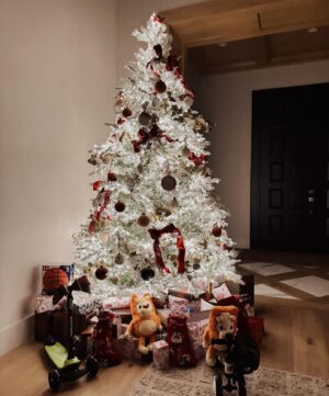 Witney Carson Instagram - A Christmas we won’t forget! ✨ 
Leo age 3, Jet 19 months 
Some things to document… 
Moved in to our renovated home two days before Christmas Eve to host my family- (not done yet! 😵‍💫) it was CHOAS but so exciting 🙏🏼
Christmas Eve family swim & home-made pizza 
The Grinch in Christmas pjs (Leo was very into this one!) 
Twinkle twinkle little star performance from Jet was a highlight 🥹
Christmas morning cinnamon rolls and hash brown casserole while we open presents (my fam and Carson’s moms traditions combined 🤤) 
Jet was most excited about his musical set and his basketball, Leo’s faves were his science experiments and his kid cutlery set to help mom and dad cook, & the fire breathing dragon of course 😅
Bethlehem dinner, sharing how Christ has changed us for the better this year. 🙏🏼 
Games with the adults to end the night!