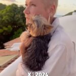 Xuxa